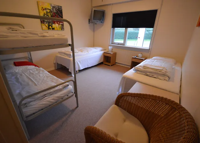 Danhostel Thorhallen 3* Jels