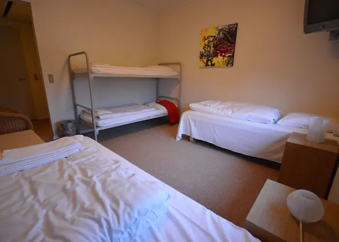 Μοτέλ Danhostel Thorhallen Jels