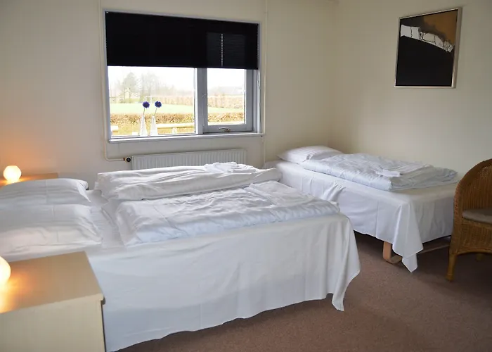 Μοτέλ Danhostel Thorhallen Jels