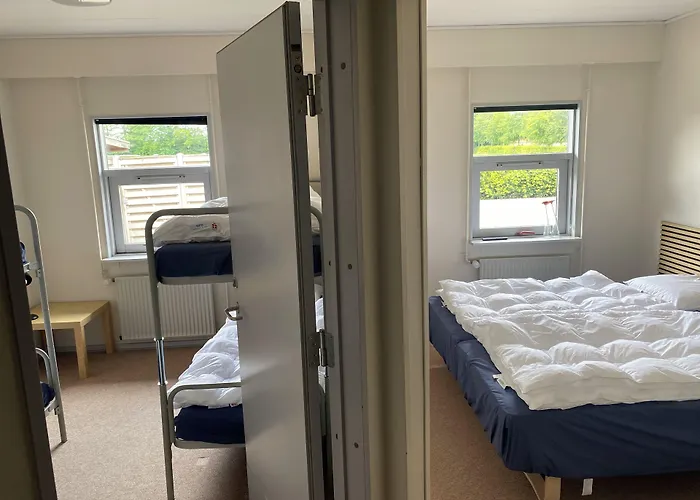 Danhostel Thorhallen 3* Jels